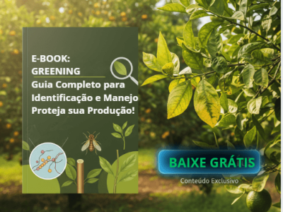 imagem_2026-01-19_110021128