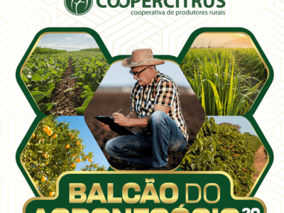 imagem_2026-01-29_080846526