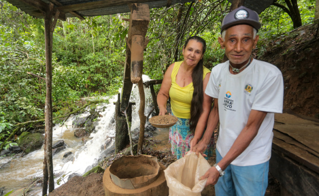 imagem_2026-02-05_083711935