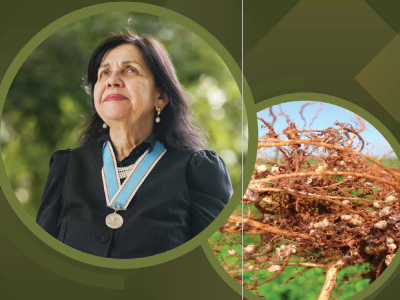 imagem_2026-02-09_083908428