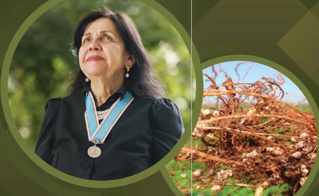 imagem_2026-02-09_083908428