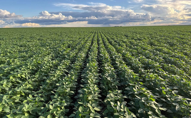 imagem_2026-02-10_141125794