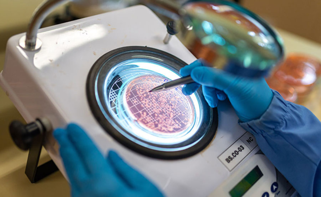 Fixação Biológica do Nitrogênio é pilar de sustentabilidade na produção de soja. Foto: Antonio Neto