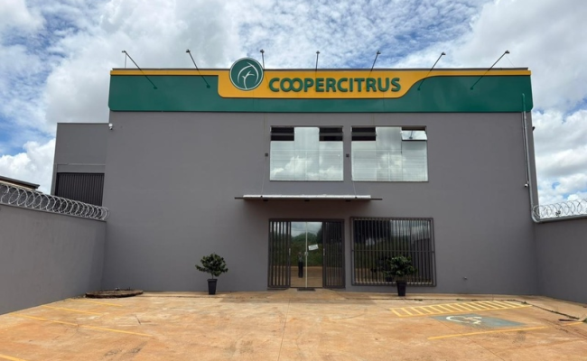 imagem_2026-02-18_080700871