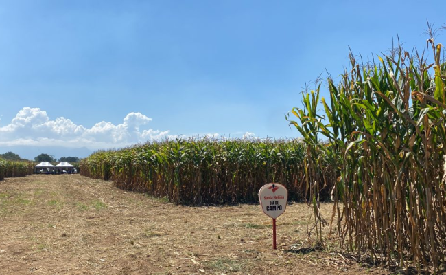 imagem_2026-02-19_072523884