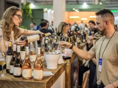 imagem_2026-03-13_101122647