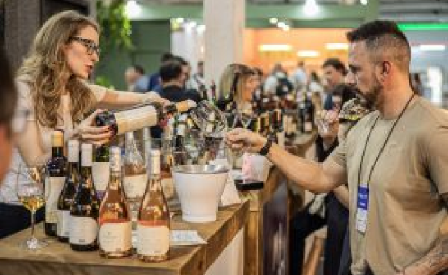 imagem_2026-03-13_101122647