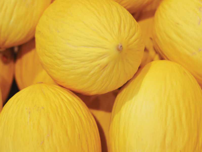 imagem_2026-03-23_095828987