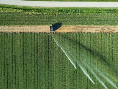 imagem_2026-04-22_082442394