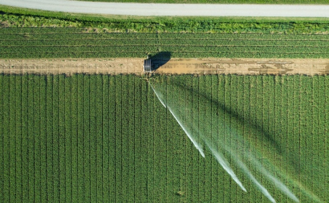 imagem_2026-04-22_082442394