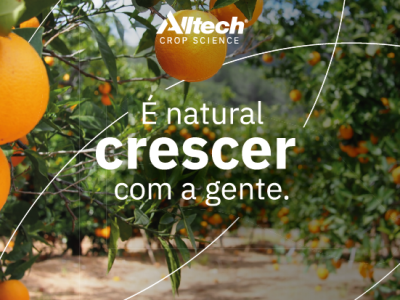 imagem_2026-05-15_142345582