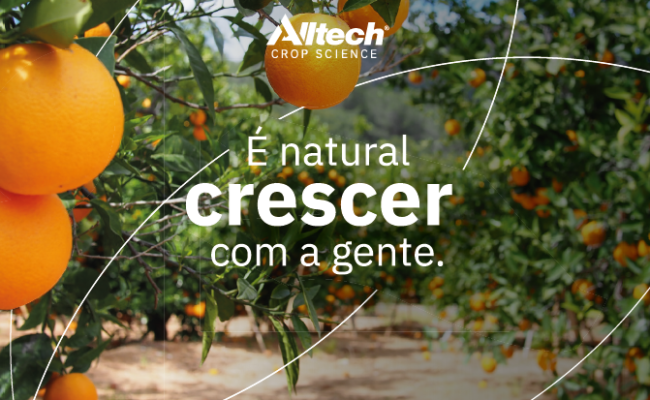 imagem_2026-05-15_142345582