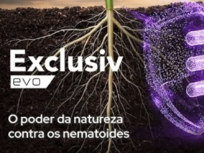 imagem_2026-05-26_104842941