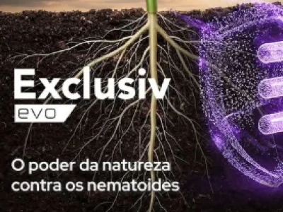 imagem_2026-05-26_104842941