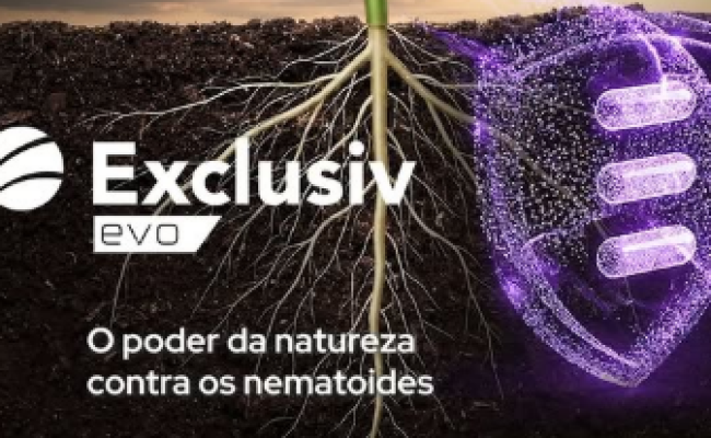imagem_2026-05-26_104842941