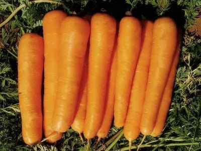 imagem_release_1440316