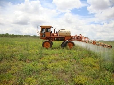 imagem_release_394659