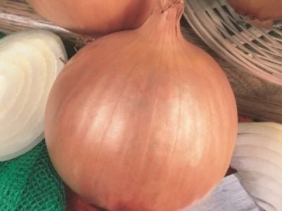 imagem_release_540591