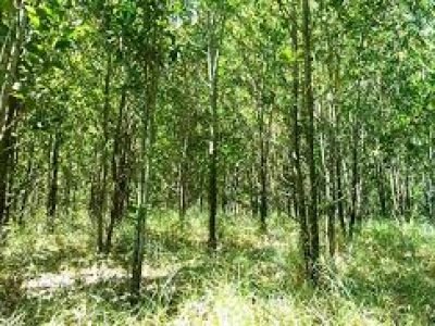 images-1-3
