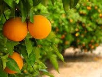 images-1-6