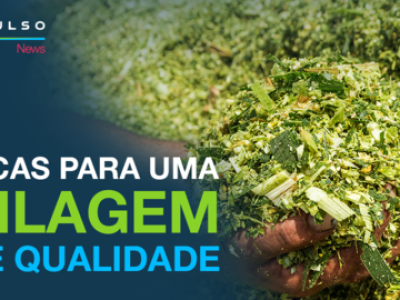 impulso-news-silagem-de-milho-oportunidades-e-tecnologias-para-o-setor-1