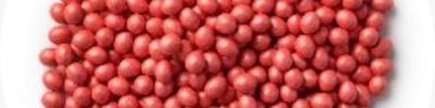 incotec tratamento de sementes (1)