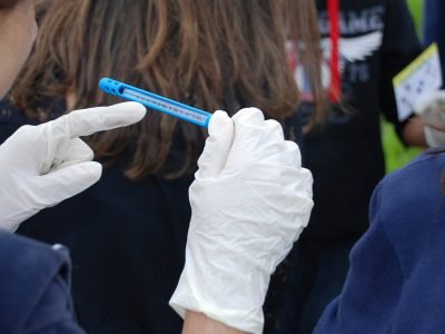 Créditos: Divulgação