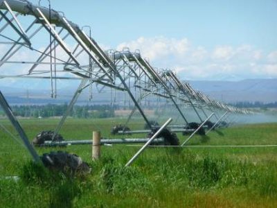 irrigation-g9a5dd8fb6_640 (Telefone)