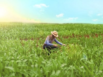 Mulher -  Crédito: Divulgação KWS