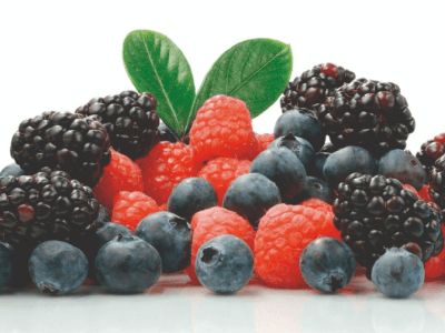 Panorama nacional da produção de frutas vermelhas