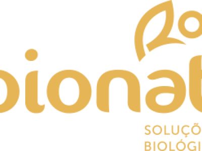 logo-footer