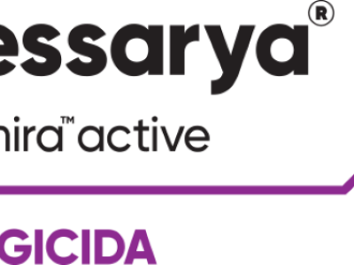 logo-vessarya-com-onmira-active-cmyk-at-2x (Telefone)
