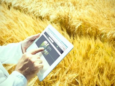 Marketplace -  Foto: Divulgação