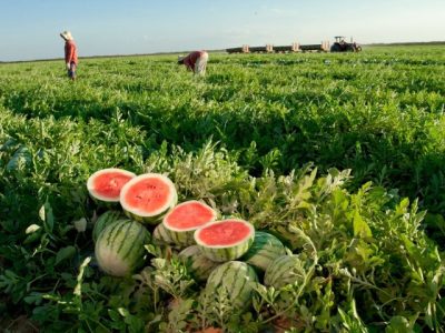 Foto: Wenderson Araujo/CNA