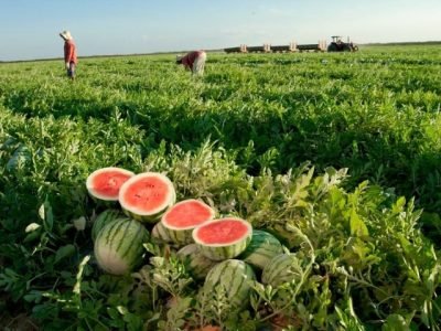 Foto: Wenderson Araujo/CNA