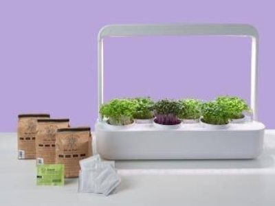 micro-verdes-bokashi