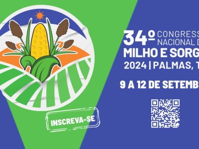 milho-e-sorgo