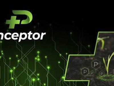 modelos-slide-inceptorSlide-1