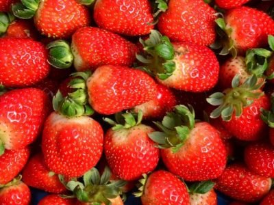 morango-semi-hidroponico-suspenso-8