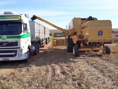 ms_colheitasudão_copercampos