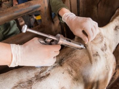 n0o6qkhiu3d-Telefone