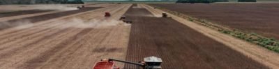 naturall-carbon-fazenda-nova-piratininga-projeto-carbono-regenerativo