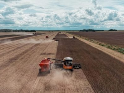 naturall-carbon-fazenda-nova-piratininga-projeto-carbono-regenerativo