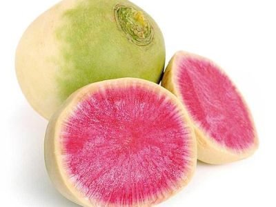 o-que-plantar-em-julho
