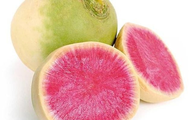 o-que-plantar-em-julho