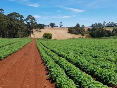 Agricultura - Crédito: Divulgação
