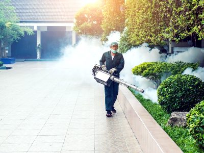 oleo_para_fumace_cadium