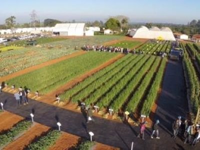 open-field-day-agristar-completa-10-anos-12-05-2016-16-47-25-6635