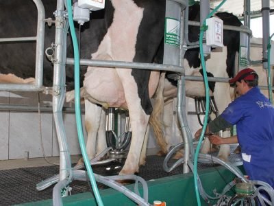 Foto: JM Alvarenga/Divulgação