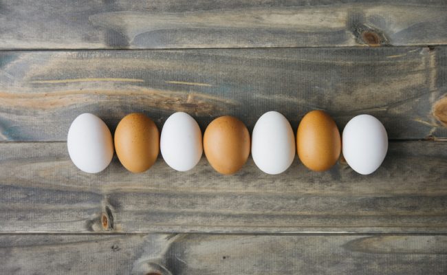 Diversos pratos com ovos preparados de maneiras diferentes